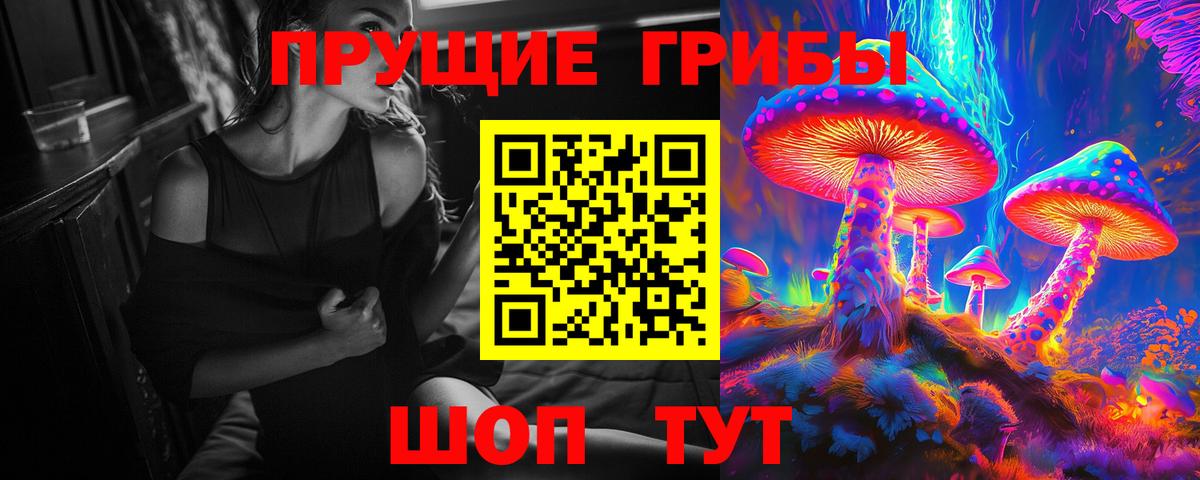 Галлюциногенные грибы Psilocybine cubensis  Вход с VPN  Хасавюрт 
