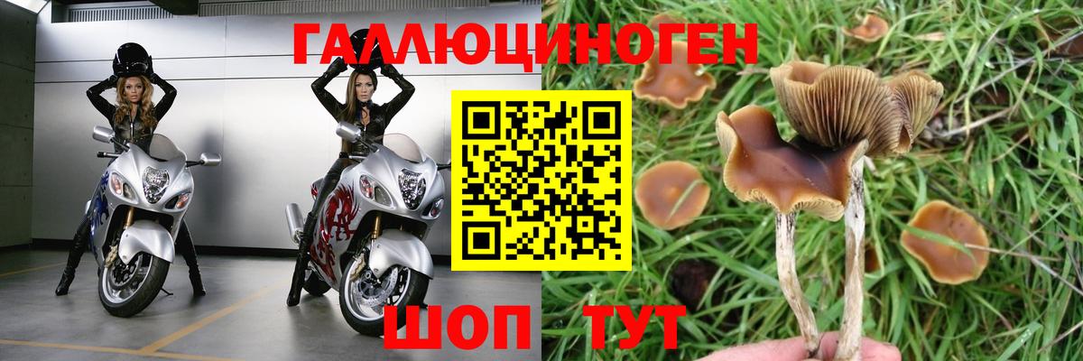 Галлюциногенные грибы Magic Shrooms Хасавюрт