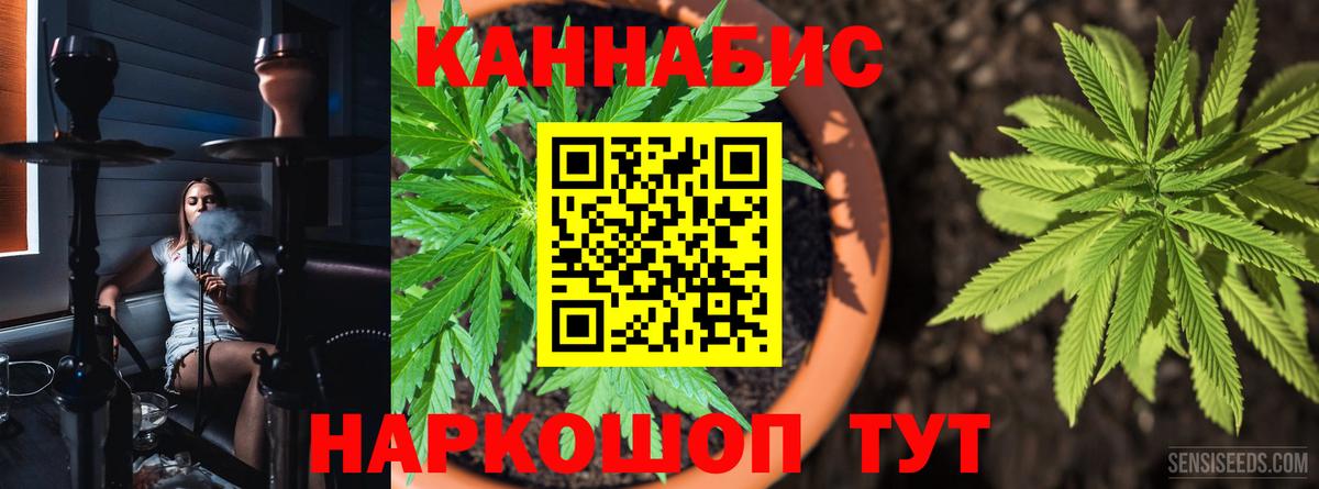 Бошки Шишки семена  Канабис тримм  Конопля White Widow  Вход с VPN  Хасавюрт 
